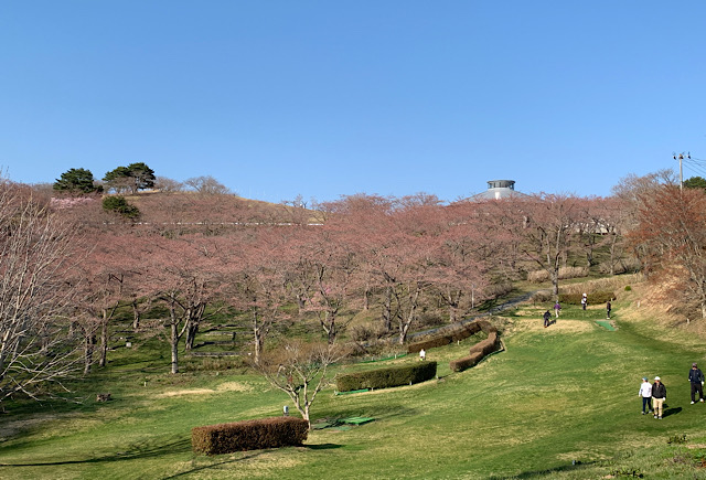 画像の説明